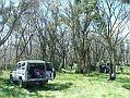 03-Rhino & Zebra take a morning tea break on Buckety Plain